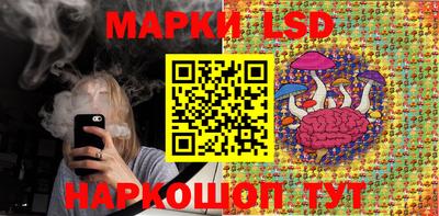 мяу мяу мука Нальчик