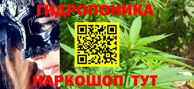 мяу мяу мука Нальчик
